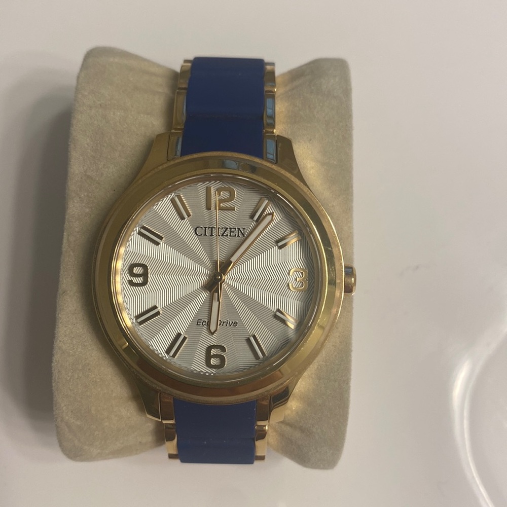 Citizen Gold/Navy Watch.